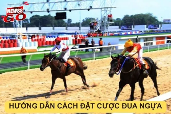 Cách đặt cược đua ngựa new88go