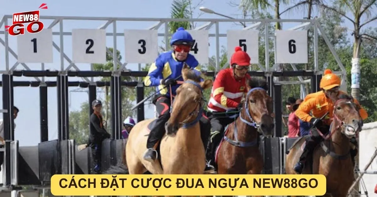 Cách đặt cược đua ngựa new88go