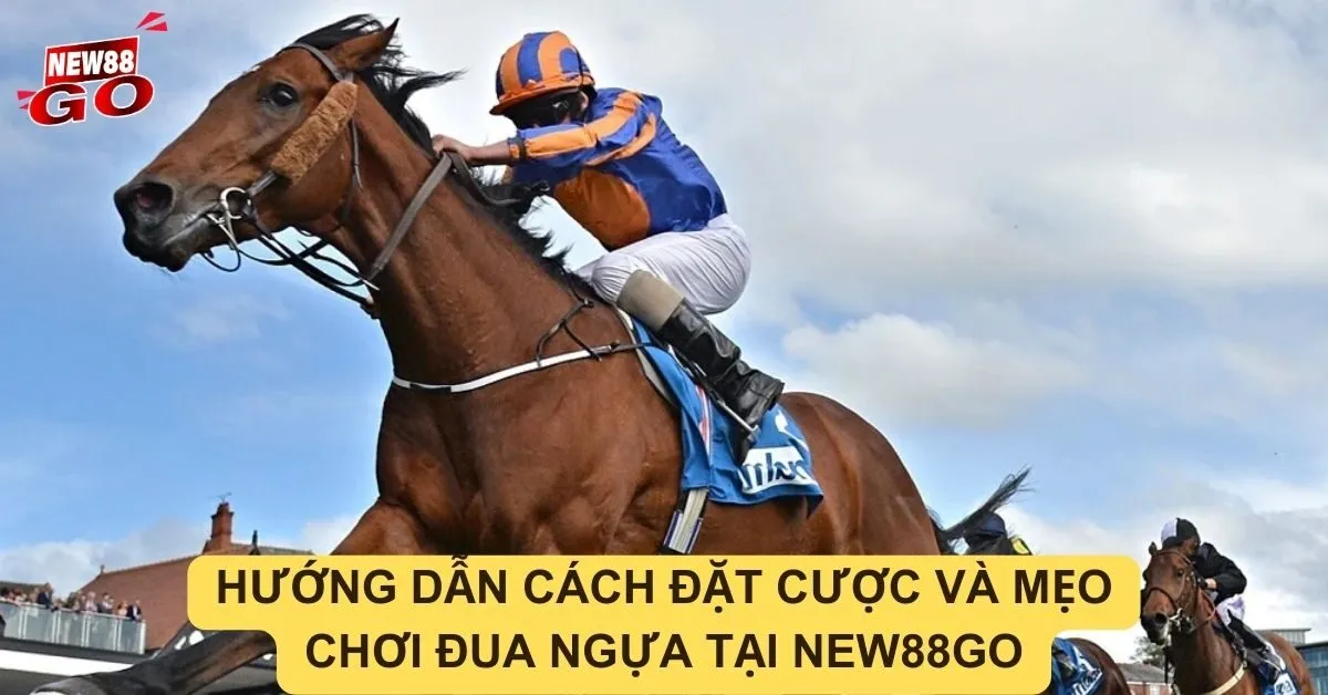 Hướng dẫn cách đặt cược và mẹo chơi đua ngựa tại new88go