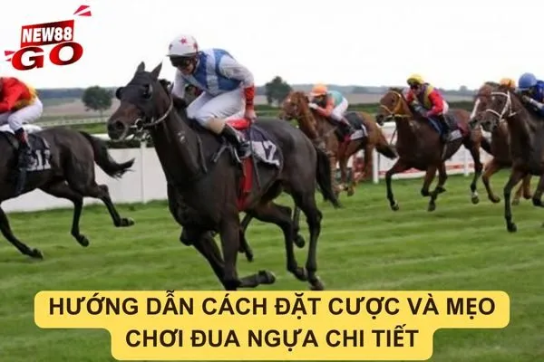 Hướng dẫn cách đặt cược và mẹo chơi đua ngựa tại new88go