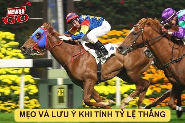 Cách tính tỷ lệ thắng khi chơi đua ngựa