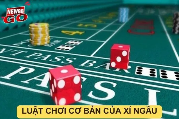 Hướng dẫn chi tiết cách chơi Xí Ngầu đơn giản, dễ hiểu