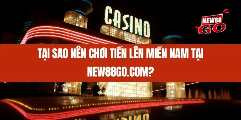 Tại sao nên chơi Tiến Lên Miền Nam tại New88go.com